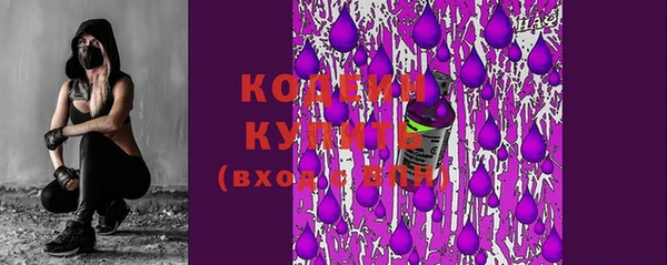 хмурый Арсеньев