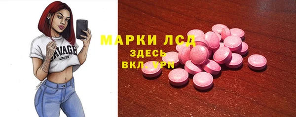 хмурый Арсеньев