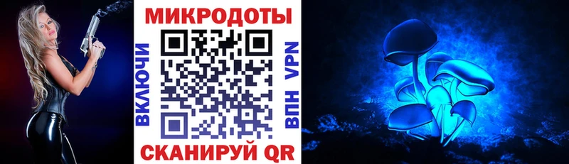 Псилоцибиновые грибы GOLDEN TEACHER  Карачаевск 
