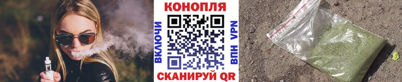 Бошки марихуана сатива  mega ТОР  Карачаевск  цены  